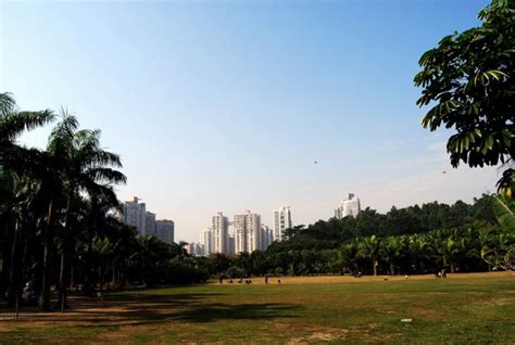  蓮花山公園！壮大な景色と歴史を体感する旅へ！